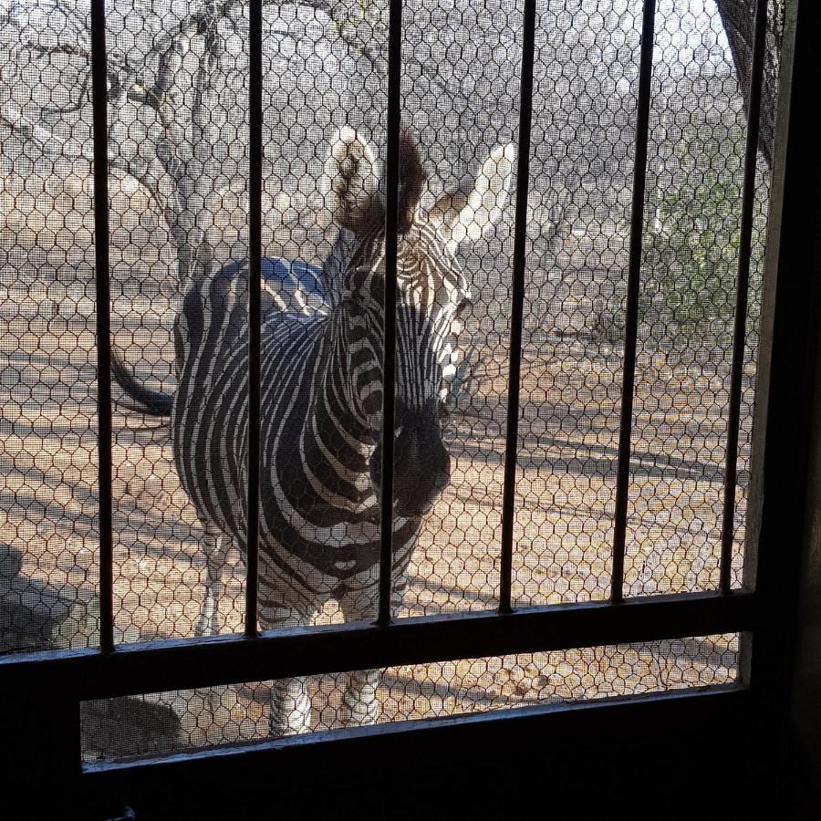 Matumi Self Catering