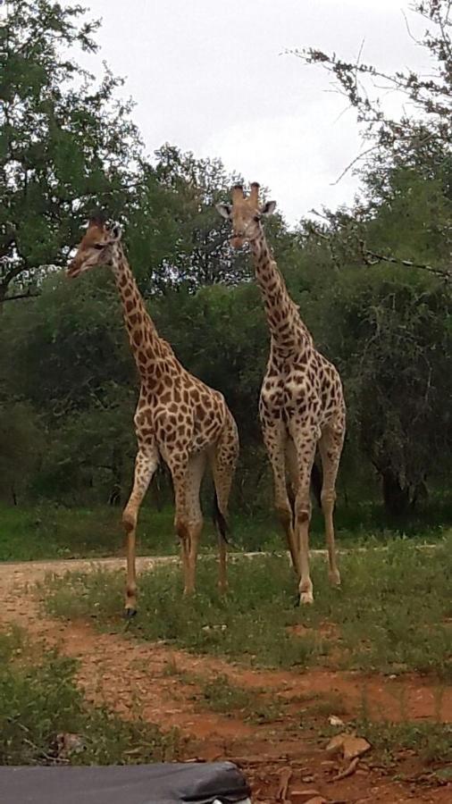 Matumi Self Catering Marloth Park