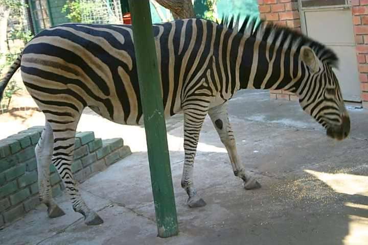 Matumi Self Catering * Marloth Park