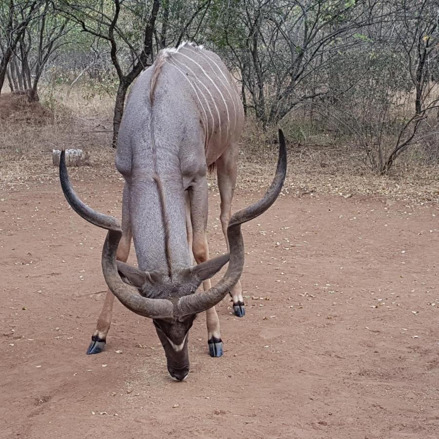 Matumi Self Catering Villa Marloth Park